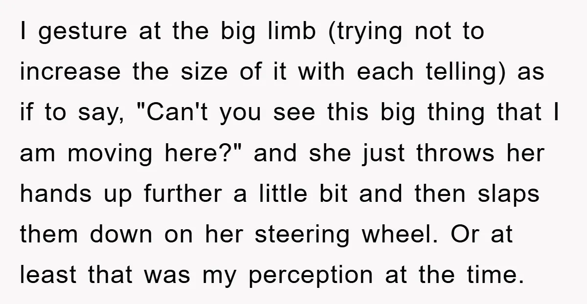 Driver Moves Fallen Tree Limb, And Teaches An Impatient Tailgater A Hilarious Lesson I gesture at the big limb (trying not to increase the size of it with each telling) as if to say, "Can't you see this big thing that I am...
