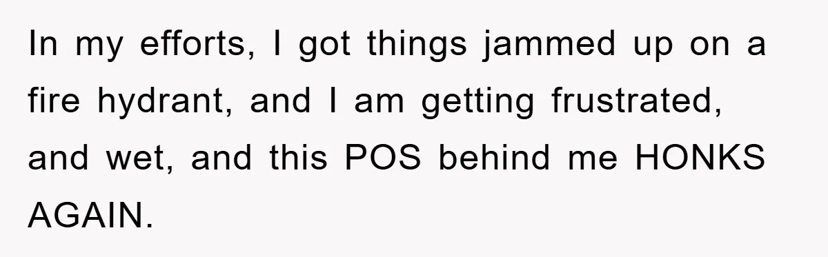 Driver Moves Fallen Tree Limb, And Teaches An Impatient Tailgater A Hilarious Lesson In my efforts, I got things jammed up on a fire hydrant, and I am getting frustrated, and wet, and this POS behind me HONKS AGAIN.