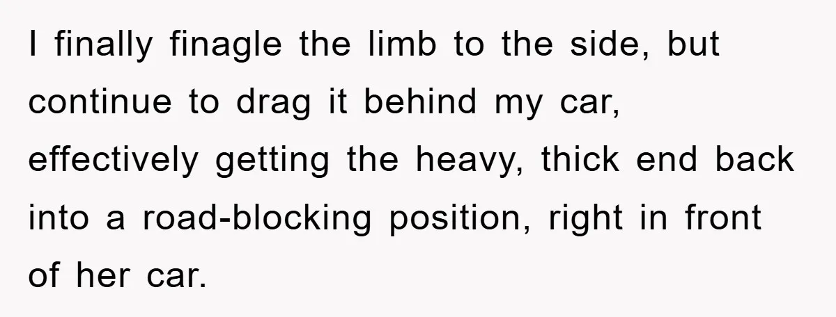 Driver Moves Fallen Tree Limb, And Teaches An Impatient Tailgater A Hilarious Lesson I finally finagle the limb to the side, but continue to drag it behind my car, effectively getting the heavy, thick end back into a road-blocking position, right in front...