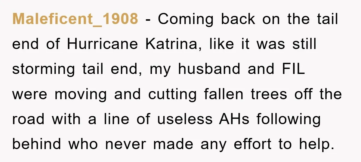 Driver Moves Fallen Tree Limb, And Teaches An Impatient Tailgater A Hilarious Lesson Maleficent_1908 − Coming back on the tail end of Hurricane Katrina, like it was still storming tail end, my husband and FIL were moving and cutting fallen trees off the...