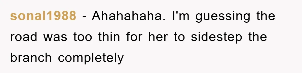 Driver Moves Fallen Tree Limb, And Teaches An Impatient Tailgater A Hilarious Lesson sonal1988 − Ahahahaha. I'm guessing the road was too thin for her to sidestep the branch completely