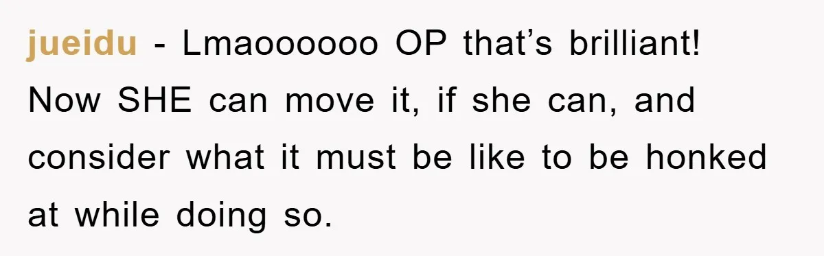 Driver Moves Fallen Tree Limb, And Teaches An Impatient Tailgater A Hilarious Lesson jueidu − Lmaoooooo OP that’s brilliant! Now SHE can move it, if she can, and consider what it must be like to be honked at while doing so.
