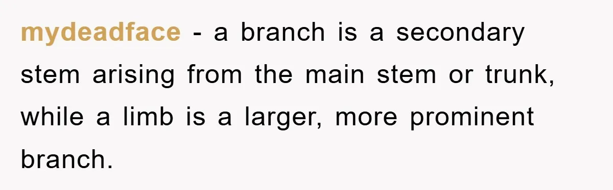 Driver Moves Fallen Tree Limb, And Teaches An Impatient Tailgater A Hilarious Lesson mydeadface − a branch is a secondary stem arising from the main stem or trunk, while a limb is a larger, more prominent branch.