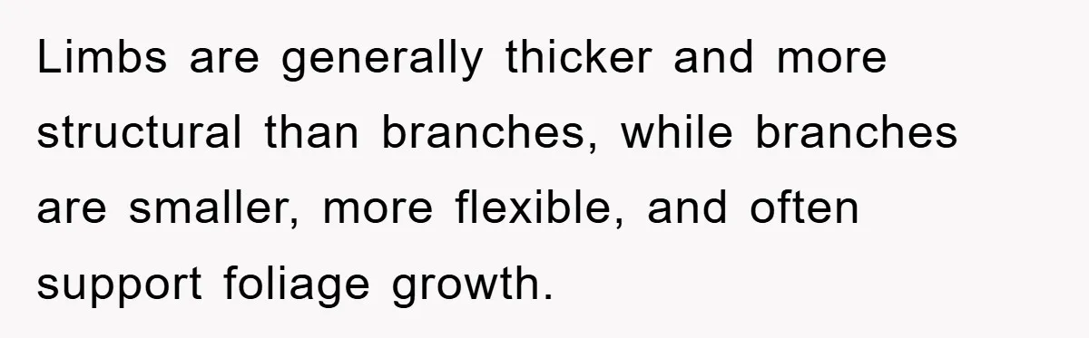 Driver Moves Fallen Tree Limb, And Teaches An Impatient Tailgater A Hilarious Lesson Limbs are generally thicker and more structural than branches, while branches are smaller, more flexible, and often support foliage growth.
