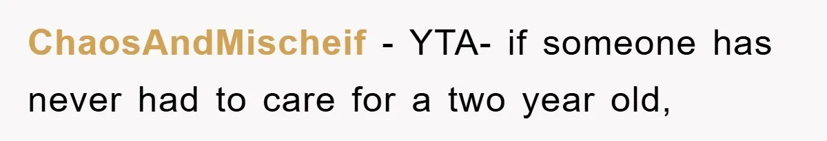ChaosAndMischeif − YTA- if someone has never had to care for a two year old,