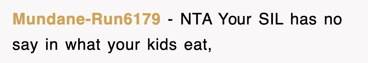 Mundane-Run6179 − NTA Your SIL has no say in what your kids eat,