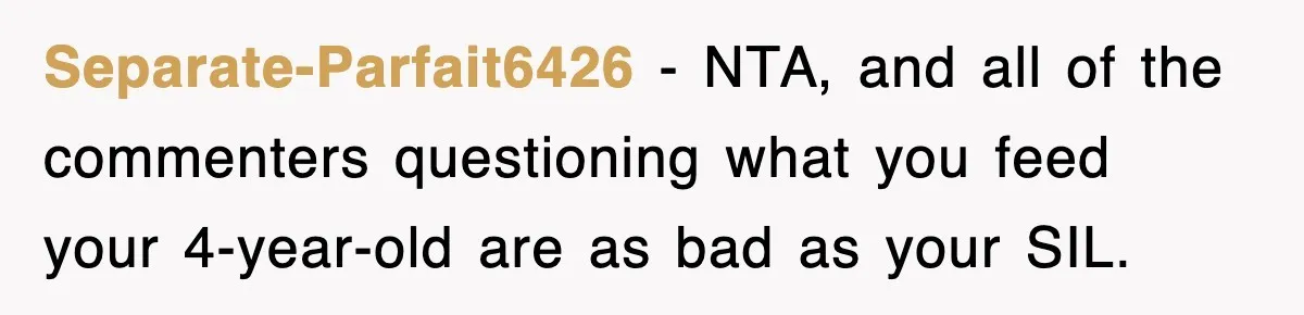 Separate-Parfait6426 − NTA, and all of the commenters questioning what you feed your 4-year-old are as bad as your SIL.
