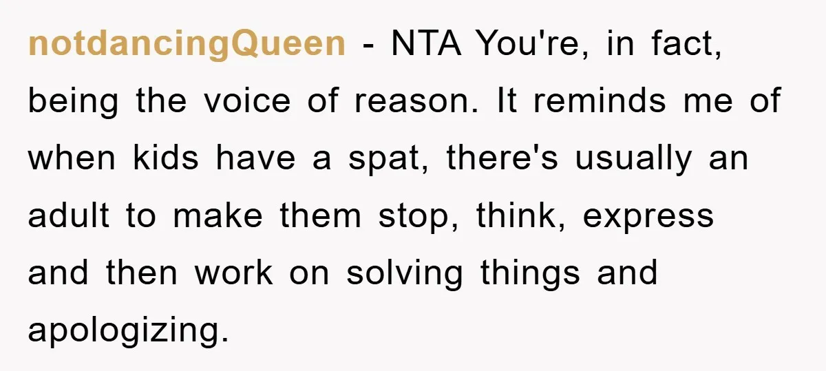 notdancingQueen - NTA You're, in fact, being the voice of reason. It reminds me of when kids have a spat, there's usually an adult to make them stop, think, express...