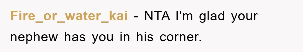 Fire_or_water_kai - NTA I'm glad your nephew has you in his corner.
