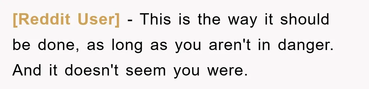[Reddit User] - This is the way it should be done, as long as you aren't in danger. And it doesn't seem you were.