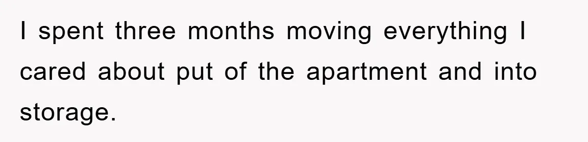 I spent three months moving everything I cared about put of the apartment and into storage.