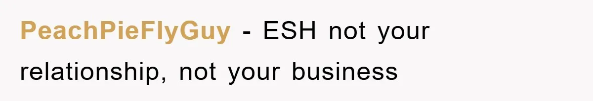 PeachPieFlyGuy - ESH not your relationship, not your business