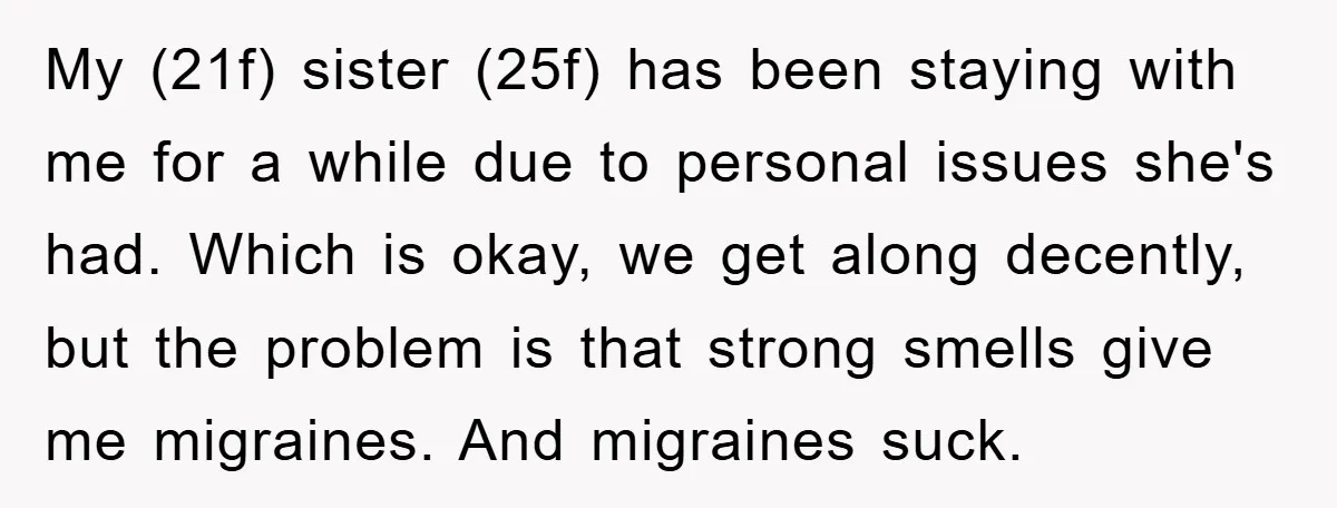 My (21f) sister (25f) has been staying with me for a while due to personal issues she's had. Which is okay, we get along decently, but the problem is that...