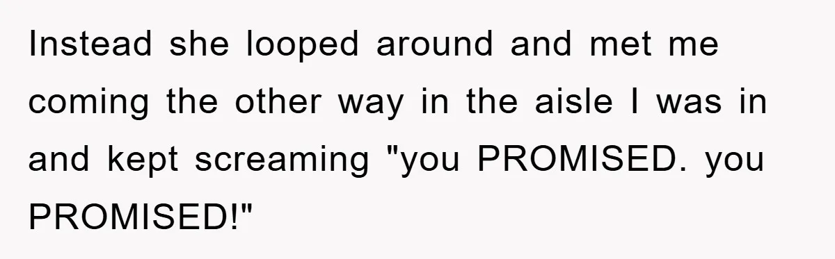 Instead she looped around and met me coming the other way in the aisle I was in and kept screaming "you PROMISED. you PROMISED!"