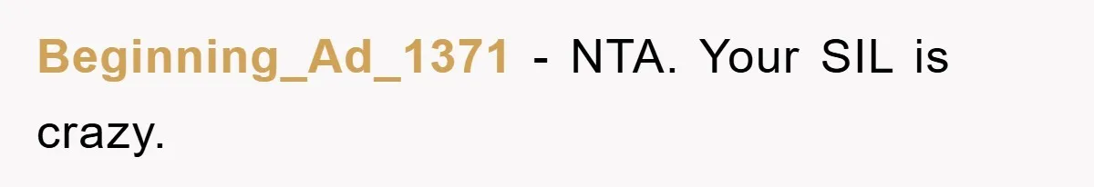 Beginning_Ad_1371 - NTA. Your SIL is crazy.