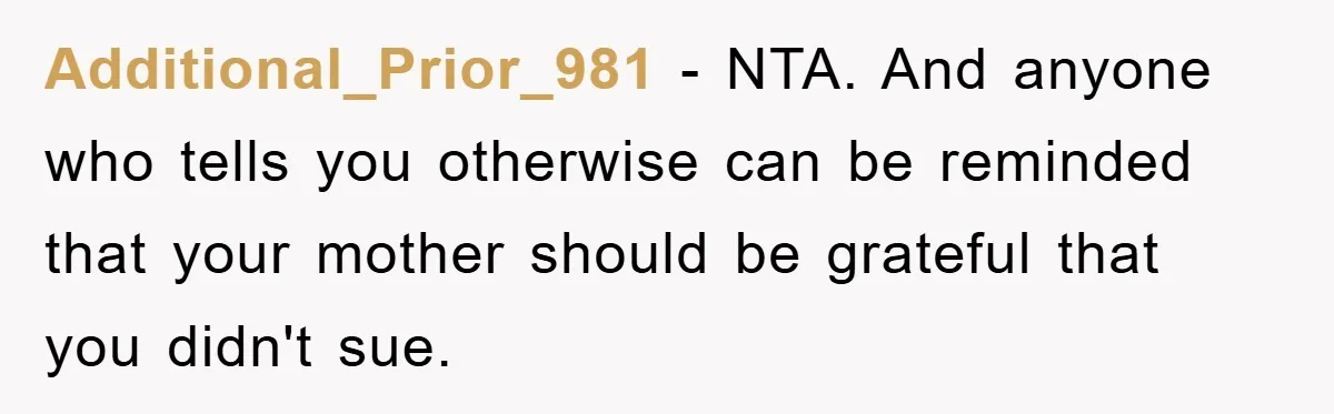 Additional_Prior_981 - NTA. And anyone who tells you otherwise can be reminded that your mother should be grateful that you didn't sue.