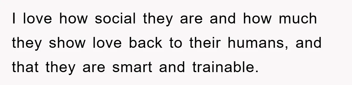 I love how social they are and how much they show love back to their humans, and that they are smart and trainable.