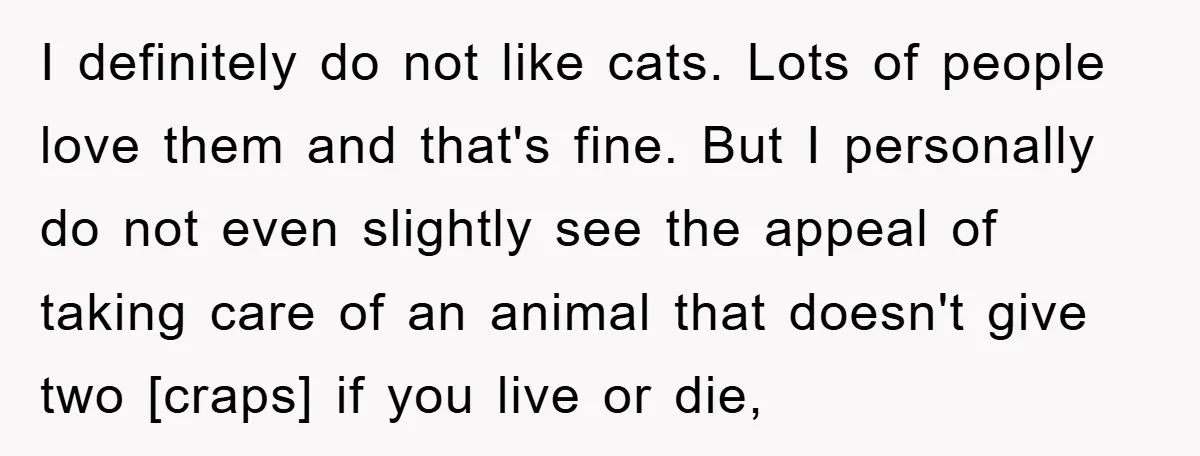 I definitely do not like cats. Lots of people love them and that's fine. But I personally do not even slightly see the appeal of taking care of an animal...