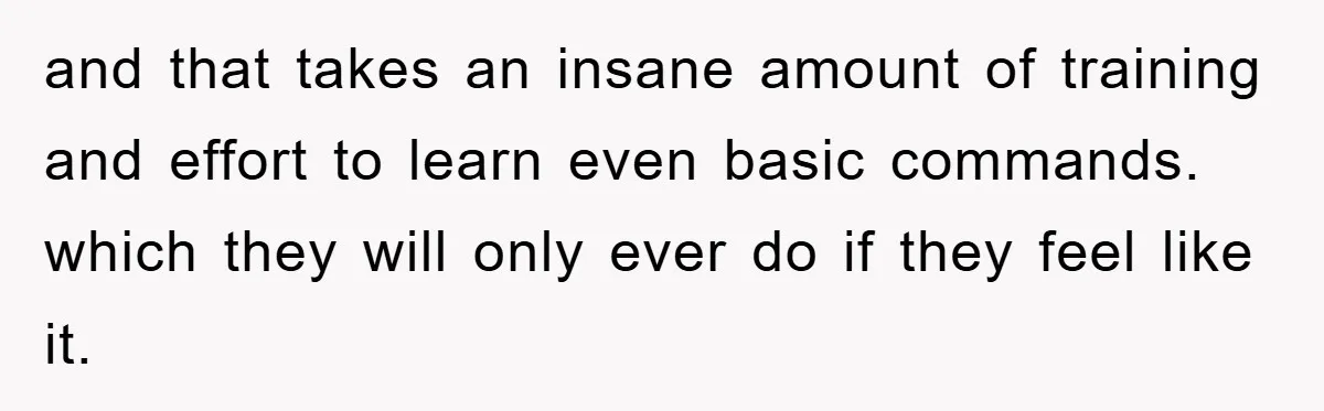 and that takes an insane amount of training and effort to learn even basic commands. which they will only ever do if they feel like it.