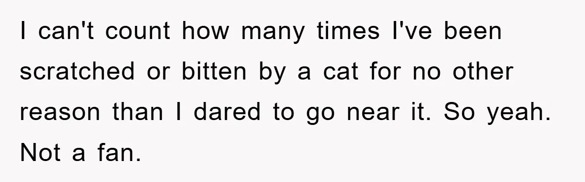 I can't count how many times I've been scratched or bitten by a cat for no other reason than I dared to go near it. So yeah. Not a fan.