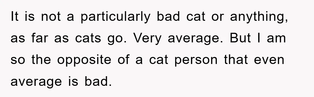 It is not a particularly bad cat or anything, as far as cats go. Very average. But I am so the opposite of a cat person that even average is...