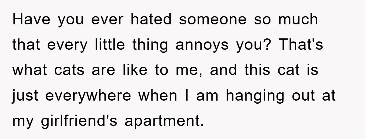 Have you ever hated someone so much that every little thing annoys you? That's what cats are like to me, and this cat is just everywhere when I am hanging...