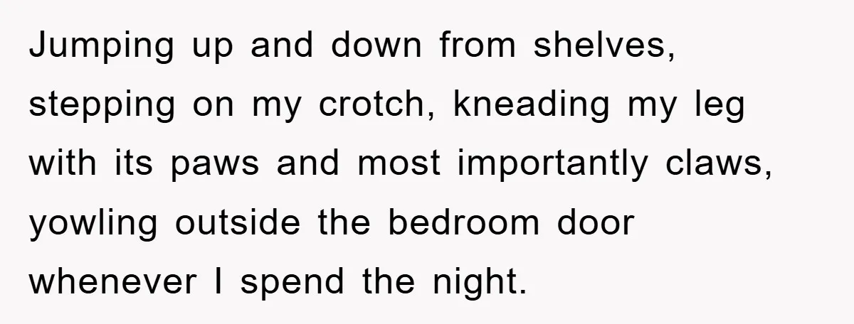 Jumping up and down from shelves, stepping on my crotch, kneading my leg with its paws and most importantly claws, yowling outside the bedroom door whenever I spend the night.