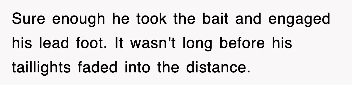 Sure enough he took the bait and engaged his lead foot. It wasn’t long before his taillights faded into the distance.