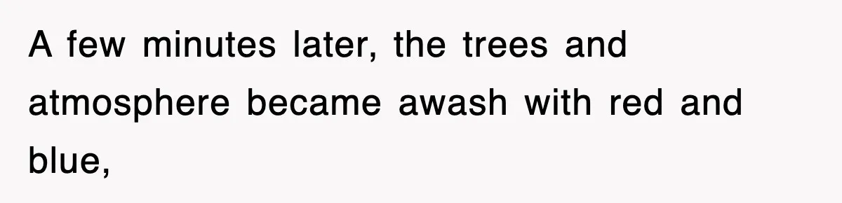 A few minutes later, the trees and atmosphere became awash with red and blue,