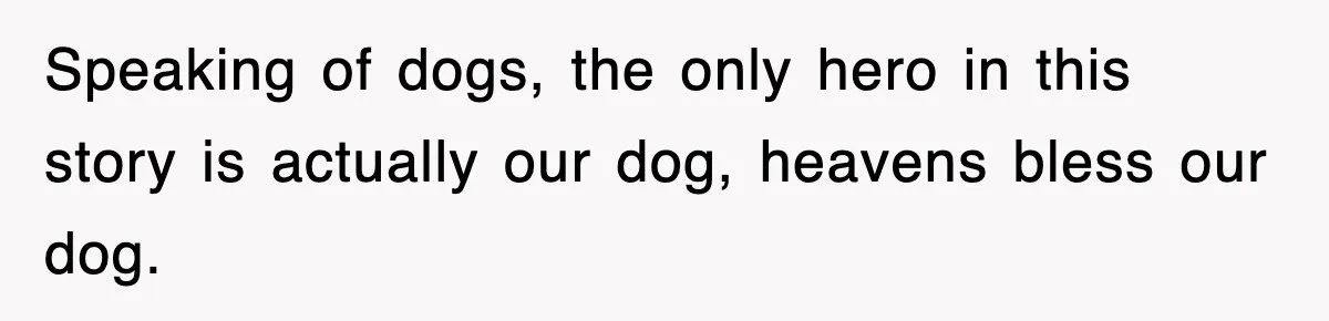 Speaking of dogs, the only hero in this story is actually our dog, heavens bless our dog.