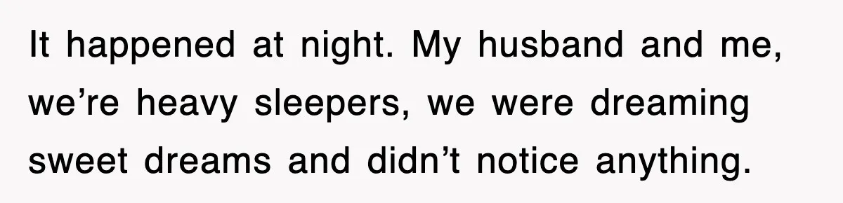It happened at night. My husband and me, we’re heavy sleepers, we were dreaming sweet dreams and didn’t notice anything.
