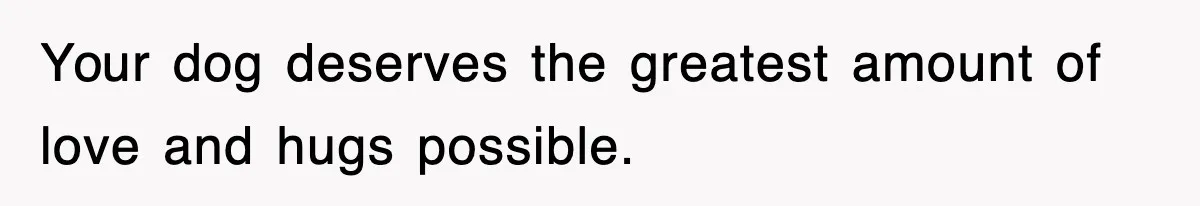 Your dog deserves the greatest amount of love and hugs possible.