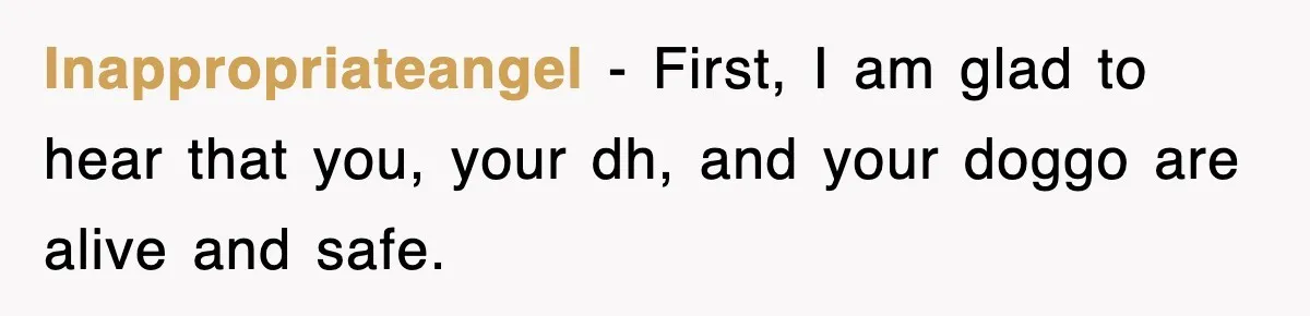 Inappropriateangel − First, I am glad to hear that you, your dh, and your doggo are alive and safe.