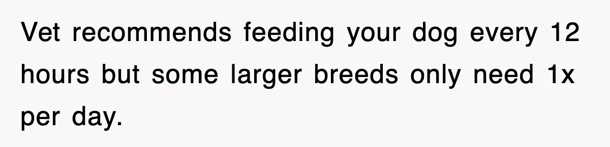 Vet recommends feeding your dog every 12 hours but some larger breeds only need 1x per day.