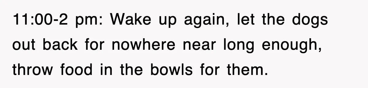 11:00-2 pm: Wake up again, let the dogs out back for nowhere near long enough, throw food in the bowls for them.