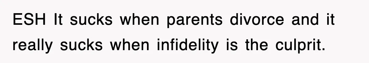 ESH It sucks when parents divorce and it really sucks when infidelity is the culprit.