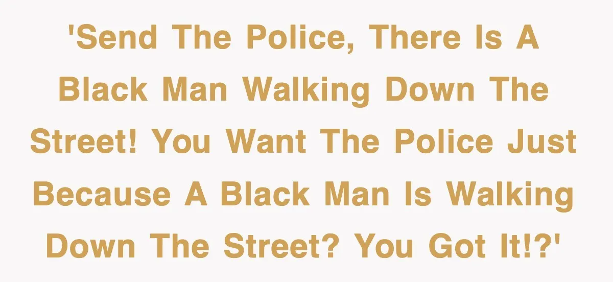 'Send the police, there is a black man walking down the street! You want the police just because a black man is walking down the street? You got it!?'