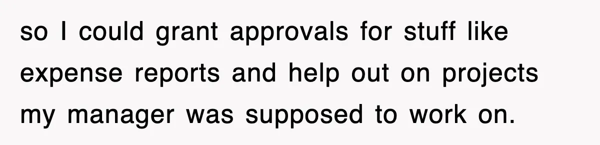 so I could grant approvals for stuff like expense reports and help out on projects my manager was supposed to work on.