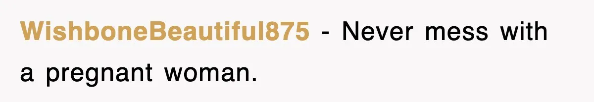 WishboneBeautiful875 − Never mess with a pregnant woman.