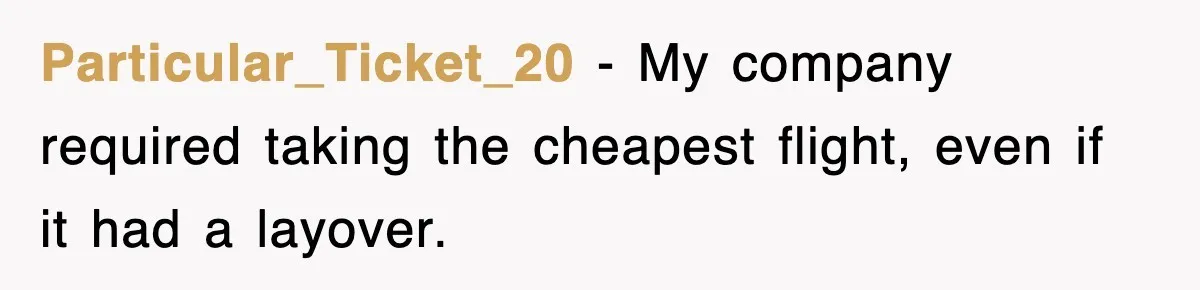 Particular_Ticket_20 − My company required taking the cheapest flight, even if it had a layover.