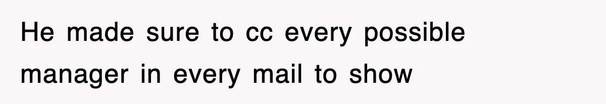 He made sure to cc every possible manager in every mail to show