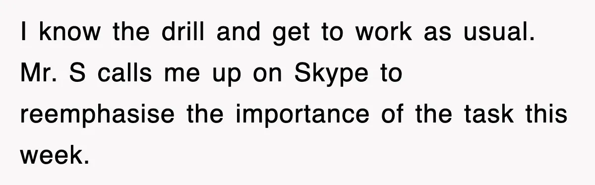 I know the drill and get to work as usual. Mr. S calls me up on Skype to reemphasise the importance of the task this week.