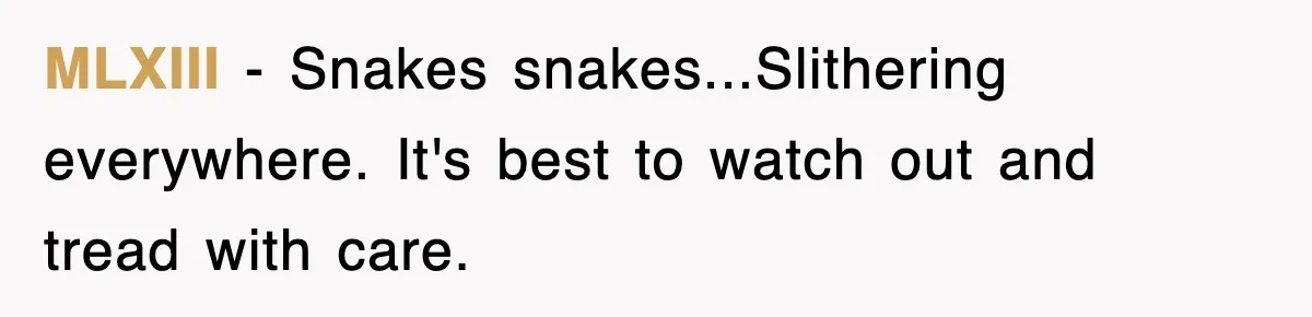 MLXIII − Snakes snakes...Slithering everywhere. It's best to watch out and tread with care.