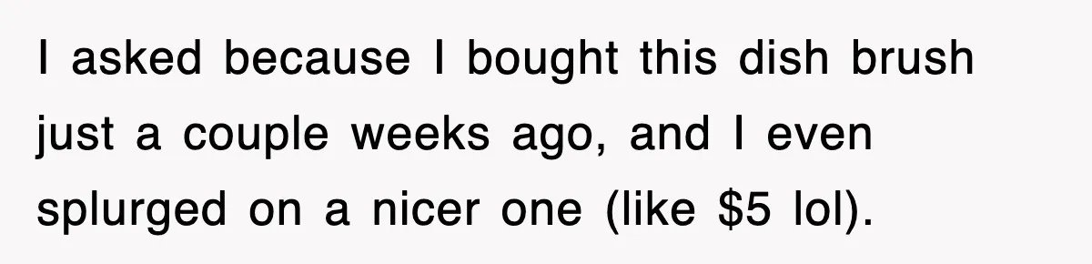 I asked because I bought this dish brush just a couple weeks ago, and I even splurged on a nicer one (like $5 lol).