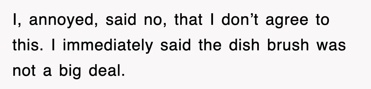 I, annoyed, said no, that I don’t agree to this. I immediately said the dish brush was not a big deal.