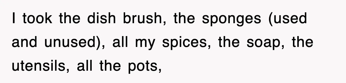 I took the dish brush, the sponges (used and unused), all my spices, the soap, the utensils, all the pots,
