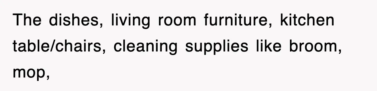 The dishes, living room furniture, kitchen table/chairs, cleaning supplies like broom, mop,