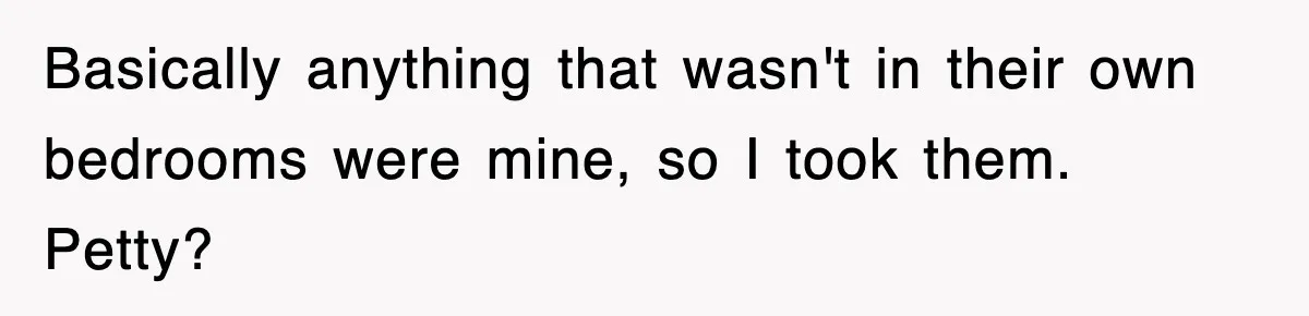 Basically anything that wasn't in their own bedrooms were mine, so I took them. Petty?