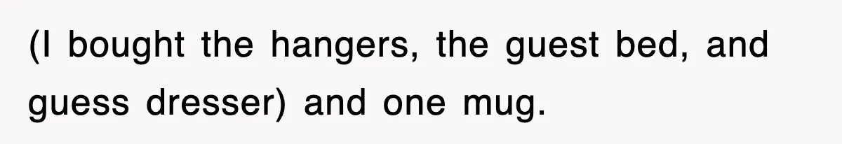 (I bought the hangers, the guest bed, and guess dresser) and one mug.