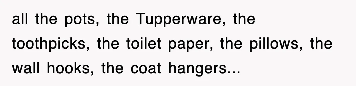 all the pots, the Tupperware, the toothpicks, the toilet paper, the pillows, the wall hooks, the coat hangers...